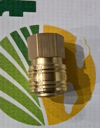 [138760] Cupla rapida mama G 3/8"