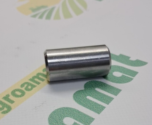 [139301] Bolt 20x40 596820