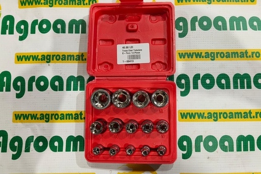 [140432] Trusa Chei Tubulare E-Torx 14 Piese