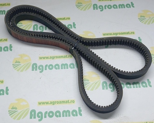 [141802] Curea Danturata Org. 667457.0