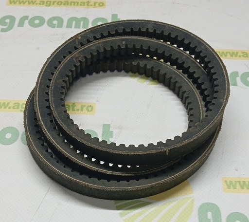 [141839] Curea Danturata  87304910